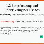 1.2.fortpflanzung Und Entwicklung Bei Fischen Fuer fortpflanzung Und Entwicklung Der forelle Arbeitsblatt