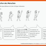 10 Evolution Bio-ideen Schulideen, Grundschule, Geschichte Schule Fuer Entwicklung Des Menschen Arbeitsblatt