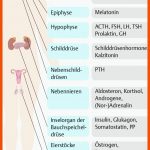 11. Hormonsystem - PflegepÃ¤dagogik - Georg Thieme Verlag Fuer Hormondrüsen Des Menschen Arbeitsblatt