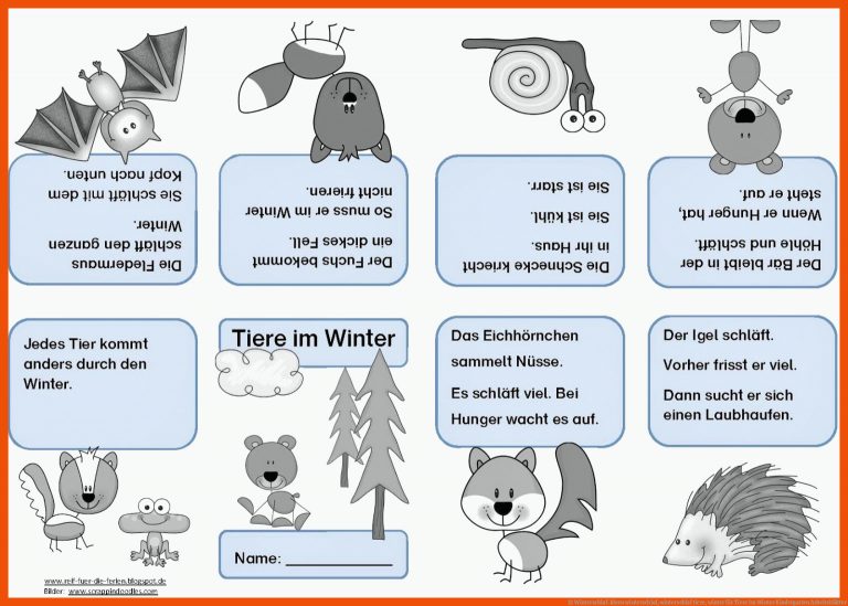 12 Winterschlaf-Ideen | winterschlaf, winterschlaf tiere, winter für tiere im winter kindergarten arbeitsblätter