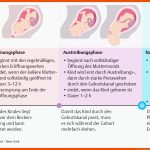 18. Schwangerschaft, Geburt Und Wochenbett - PflegepÃ¤dagogik ... Fuer Phasen Der Geburt Arbeitsblatt