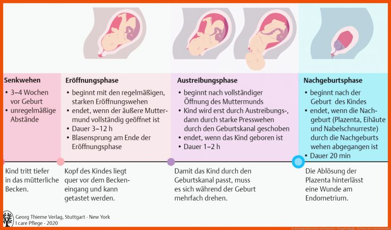 18. Schwangerschaft, Geburt Und Wochenbett - PflegepÃ¤dagogik ... Fuer Phasen Der Geburt Arbeitsblatt