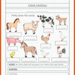 190 Warm Ups FÃ¼r Den Englischunterricht-ideen In 2022 ... Fuer Farm Animals Arbeitsblatt