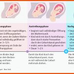 21. Schwangerschaft, Geburt Und Wochenbett - PflegepÃ¤dagogik ... Fuer Phasen Der Geburt Arbeitsblatt