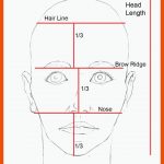 27 Proportionen-ideen Gesichter Zeichnen, Gesichtsproportionen ... Fuer Gesicht Proportionen Arbeitsblatt