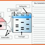 3.1 Methoden Der Gentechnik - Biologie-unterricht Im Digitalen ... Fuer Gelelektrophorese Arbeitsblatt