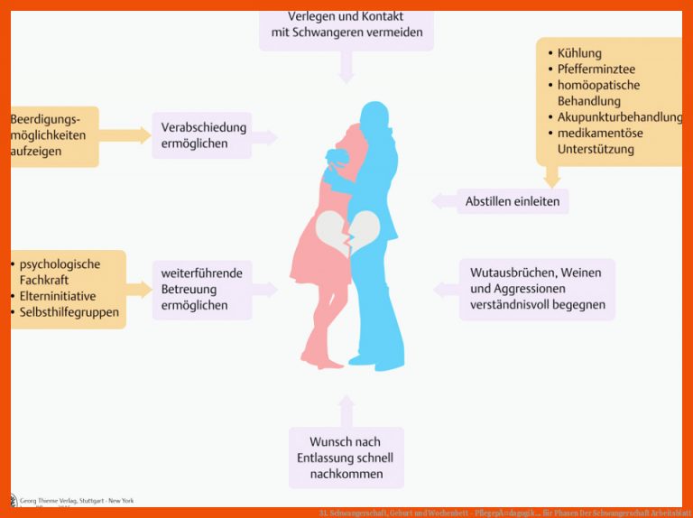 31. Schwangerschaft, Geburt und Wochenbett - PflegepÃ¤dagogik ... für phasen der schwangerschaft arbeitsblatt