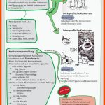 320 Schule-ideen Lernen Tipps Schule, Schule, Anatomie Lernen Fuer ökologische Nische Arbeitsblatt