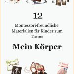 34 Biografiearbeit-ideen Grundschule, Schulideen, Unterricht Ideen Fuer Biografiearbeit Arbeitsblätter