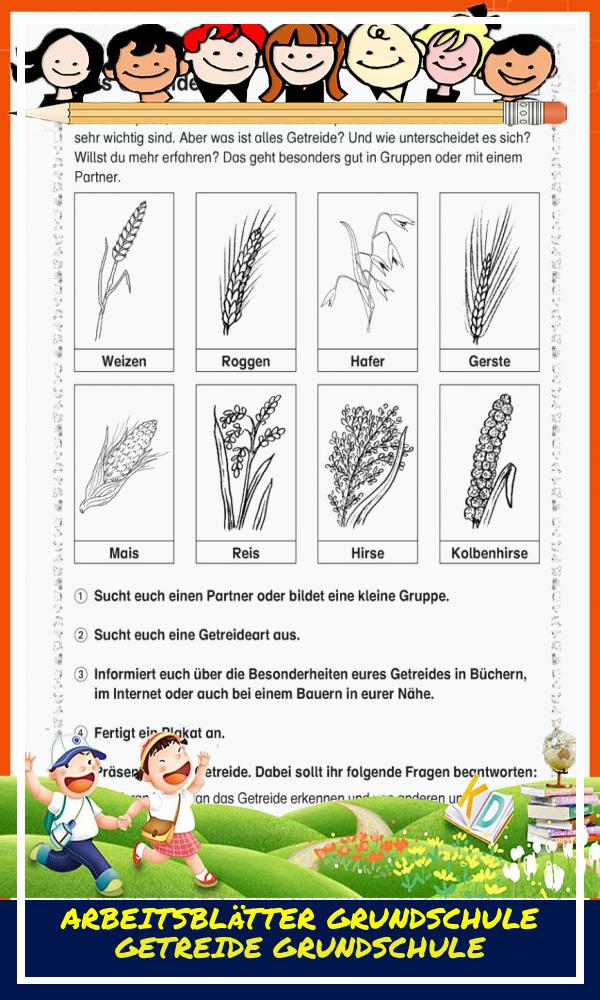 Arbeitsblätter Grundschule Getreide Grundschule