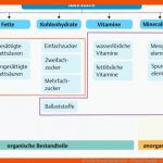 38. ErnÃ¤hrungsmanagement - PflegepÃ¤dagogik - Georg Thieme Verlag Fuer Kohlenhydrate Arbeitsblatt