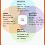 46. Pflege Des Sterbenden Menschen - PflegepÃ¤dagogik - Georg ... Fuer Sterbephasen Arbeitsblatt