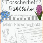 49 FrÃ¼hlingsblumen Vs-ideen In 2022 FrÃ¼hlingsblumen, FrÃ¼hblÃ¼her ... Fuer so Wächst Die Tulpe Arbeitsblatt