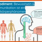 5 Schritte: Trauma-integration Ã¡ La somatic Experiencing [Ãbungen ... Fuer Nervensystem Arbeitsblatt Pdf