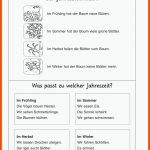 53 Kalender-ideen Kalender, Grundschule, Schulideen Fuer Vom Baum Zum Papier Arbeitsblatt