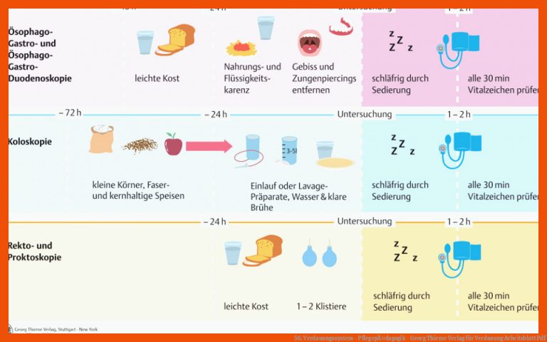 56. Verdauungssystem - PflegepÃ¤dagogik - Georg Thieme Verlag Fuer Verdauung Arbeitsblatt Pdf