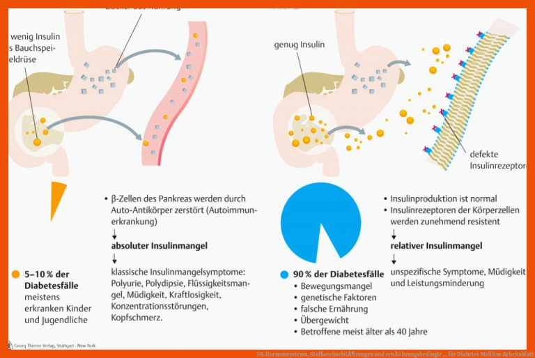 58. Hormonsystems, StoffwechselstÃ¶rungen Und ErnÃ¤hrungsbedingte ... Fuer Diabetes Mellitus Arbeitsblatt