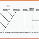 6. Evolution - Biologie-unterricht Im Digitalen Zeitalter Fuer Systematik Der Lebewesen Arbeitsblatt