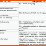 6. Klasse Skript 2: Spezielle Didaktik Www.bio-nickl.de Fuer Stammbaum Wirbeltiere Arbeitsblatt