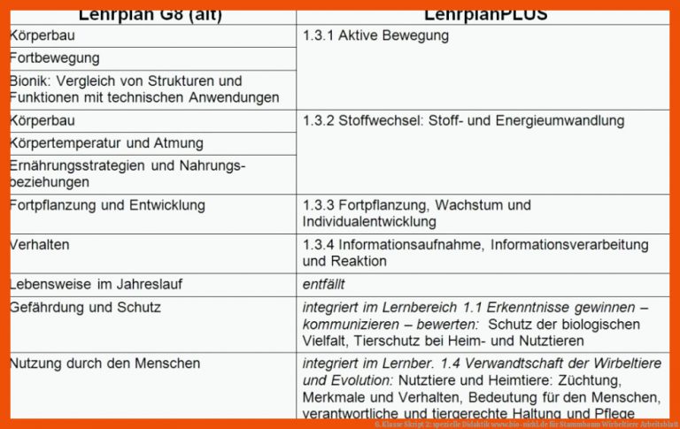 6. Klasse Skript 2: spezielle Didaktik | www.bio-nickl.de für stammbaum wirbeltiere arbeitsblatt