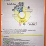 8 Biologie - Zellen-ideen Biologie, Biologie Unterrichten ... Fuer Differenzierung Bei Tierischen Zellen Arbeitsblatt