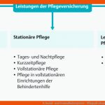 9. sozial- Und Gesundheitssystem - PflegepÃ¤dagogik - Georg Thieme ... Fuer I Care Pflege Arbeitsblätter Lösungen