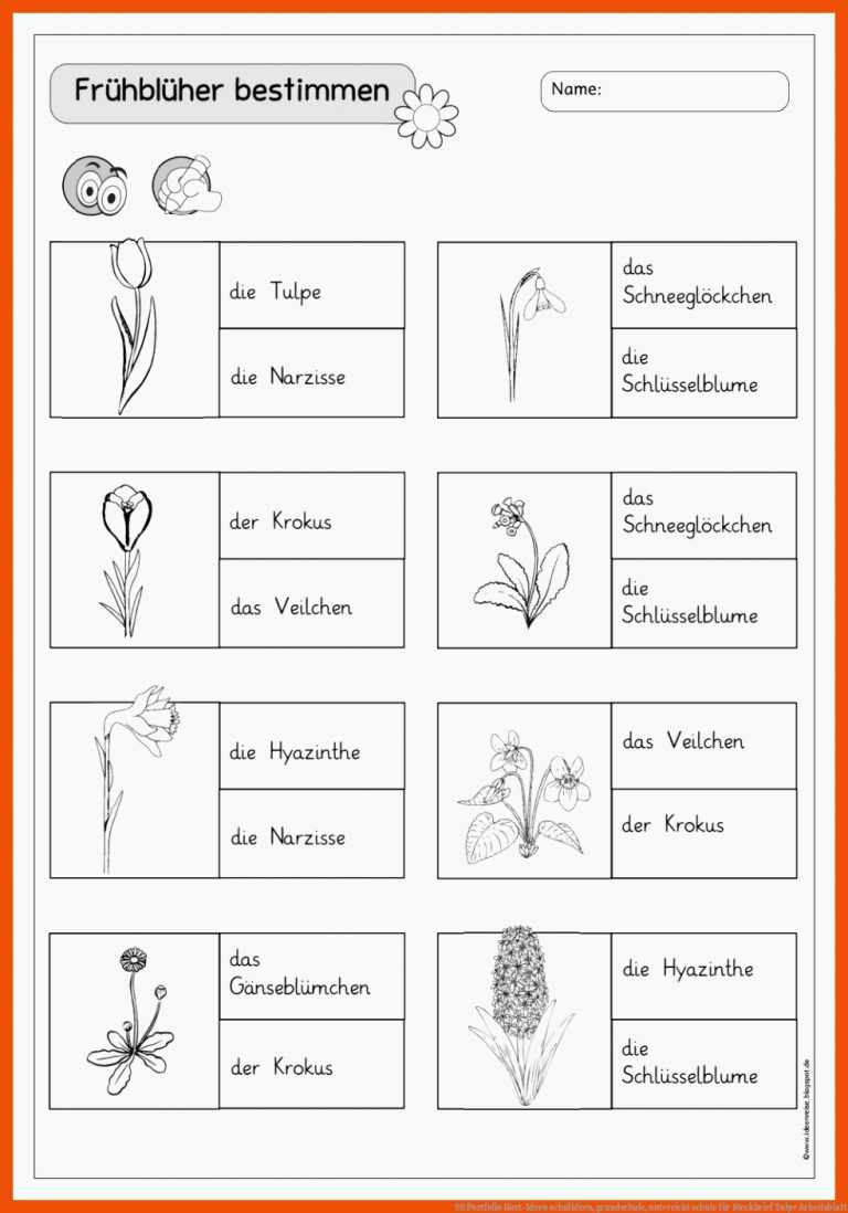 99 Portfolio Hort-Ideen | schulideen, grundschule, unterricht schule für steckbrief tulpe arbeitsblatt