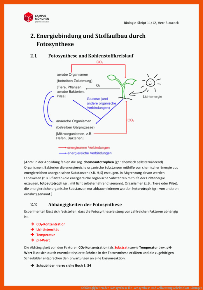AbhÃ¤ngigkeiten Der Fotosynthese Fuer Fotosynthese Und Zellatmung Arbeitsblatt Lösungen