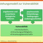 Achtung: Die PrÃ¤sentationsfolien DÃ¼rfen AusschlieÃlich Zum Zwecke ... Fuer Vulnerabilitäts-stress-modell Arbeitsblatt