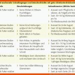 Acker-kratzdistel: Gutes Management ist Alles Â» Landesbetrieb ... Fuer Zeigerpflanzen Arbeitsblatt