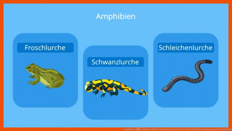 Amphibien â¢ einfach erklÃ¤rt: Merkmale, Beispiele Â· [mit Video] für atmung frosch arbeitsblatt