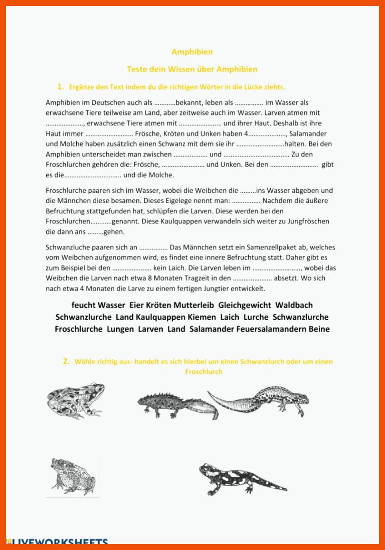 Amphibien worksheet für arbeitsblatt lurche klasse 5 kostenlos