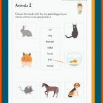Animals / Tiere Fuer Englisch Animals Arbeitsblätter