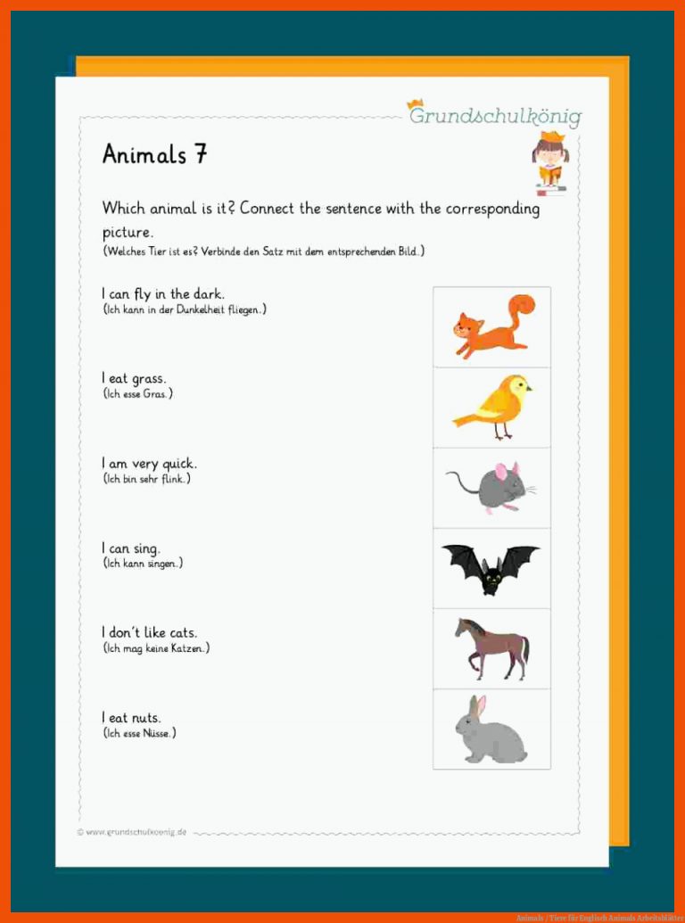 Animals / Tiere für englisch animals arbeitsblätter