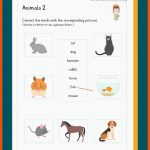 Animals / Tiere Fuer Tiere Im Winter Kindergarten Arbeitsblätter