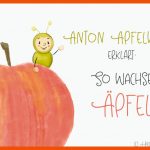 Anton Apfelwurm ErklÃ¤rt: so Wachsen Ãpfel. (lerngeschichte ... Fuer Arbeitsblatt Apfel Kindergarten