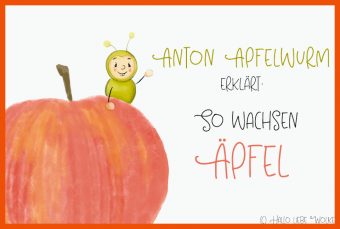 Arbeitsblatt Apfel Kindergarten