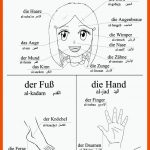 Arabisches Schulbuch Fuer Arabisch Deutsch Lernen Arbeitsblätter