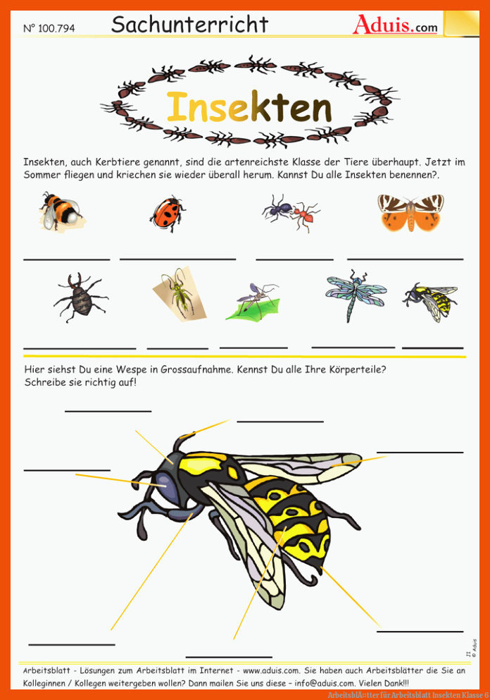 ArbeitsblÃ¤tter für arbeitsblatt insekten klasse 6