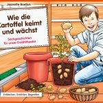 ArbeitsblÃ¤tter FÃ¼r Die Grundschule: Wie Die Kartoffel Keimt Und ... Fuer Keimung Arbeitsblatt