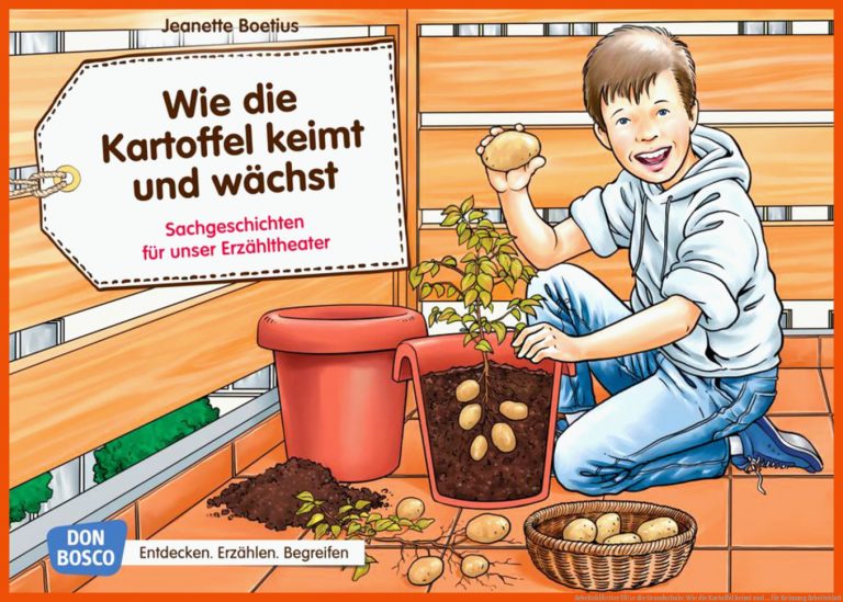 ArbeitsblÃ¤tter fÃ¼r die Grundschule: Wie die Kartoffel keimt und ... für keimung arbeitsblatt