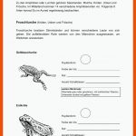 ArbeitsblÃ¤tter - Pro Natura Fribourg Fuer Amphibien Merkmale Arbeitsblatt