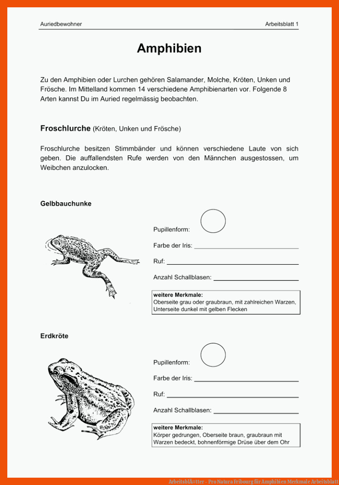 ArbeitsblÃ¤tter - Pro Natura Fribourg für amphibien merkmale arbeitsblatt