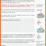 Arbeitsblatt 3 Fuer Müll sortieren Arbeitsblatt