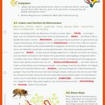 Arbeitsblatt: Bienen Fuer Bienen Arbeitsblatt