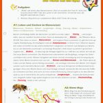 Arbeitsblatt: Bienen Fuer Der Bienenstaat Arbeitsblatt