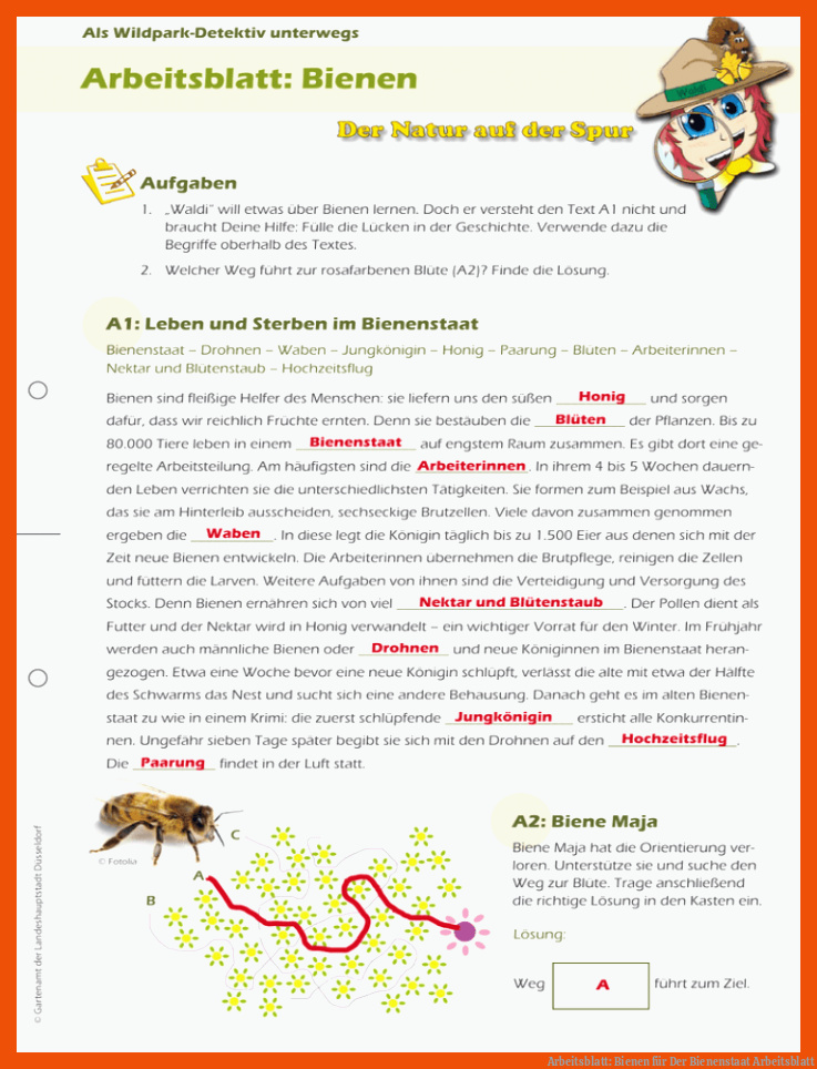 Arbeitsblatt: Bienen für der bienenstaat arbeitsblatt
