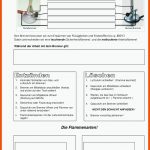 Arbeitsblatt Brenner - Docsity Fuer Bunsenbrenner Arbeitsblatt