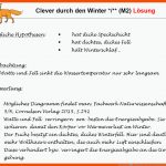 Arbeitsblatt â LÃ¶sung Fuer Natur Und Technik Arbeitsblätter Lösungen