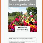 Arbeitsblatt-fotosynthese - Hinweis: Kenntnisse Ã¼ber Die ... Fuer Fotosynthese Bei Licht Und Schatten Arbeitsblatt Lösung